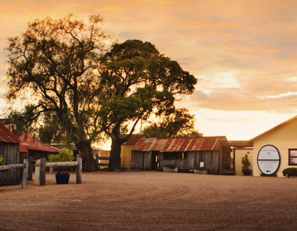 Our Story Australia s First Families of Wine